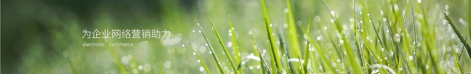 ԾҰ޹˾